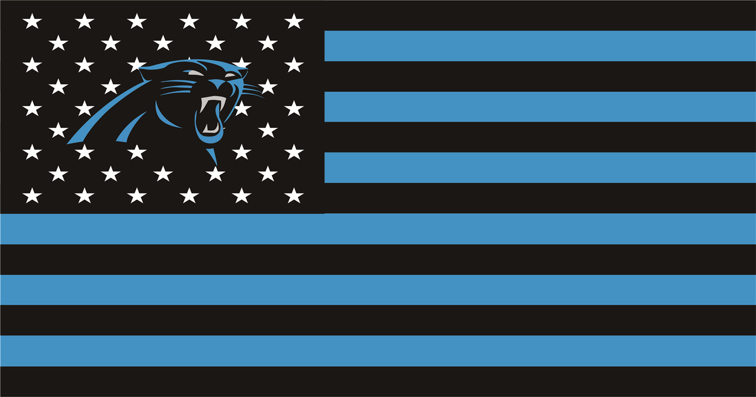 Carolina Panthers Flags iron on transfers